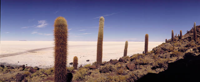 Salar de Uyuni